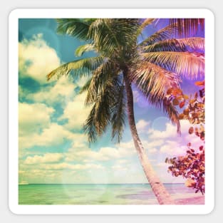 Prismatic Palm Tree on Isla Saona, Dominican Republic Sticker